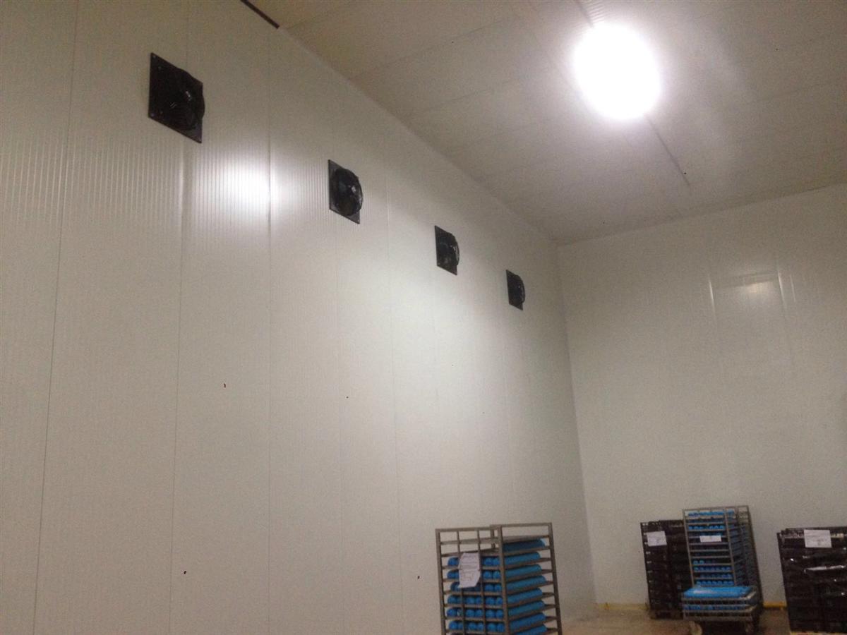 Cella di conservazione 12